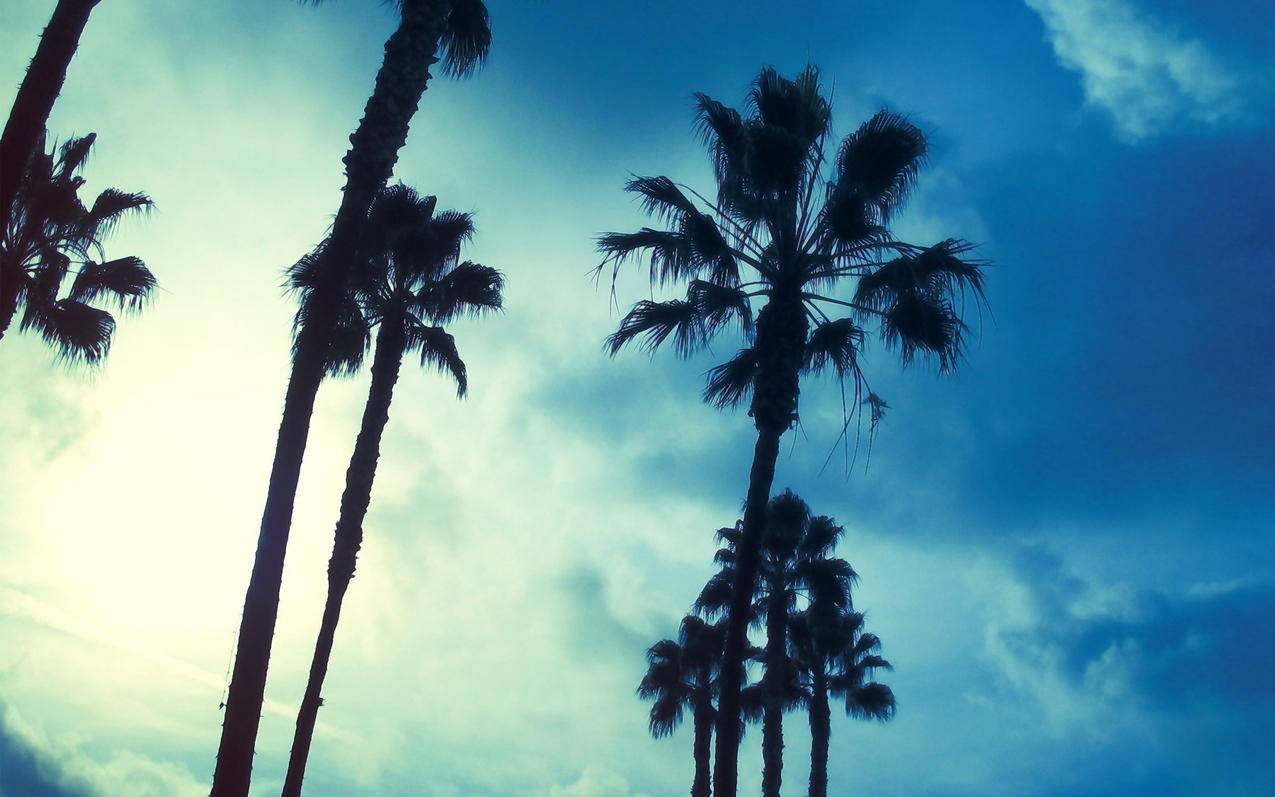 Home
